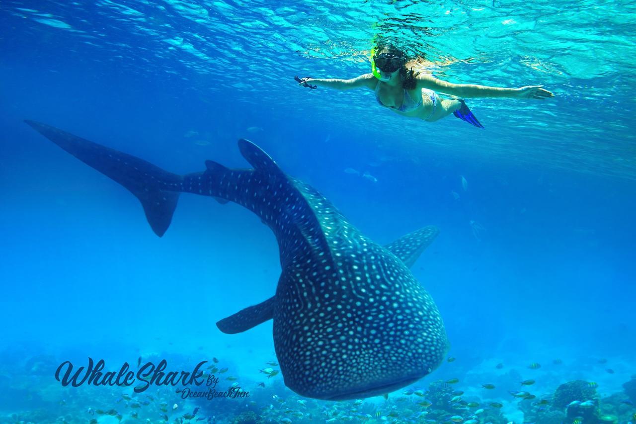 Ocean Beach Maldive MALDIVES Exterior foto